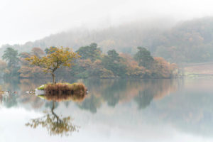 The lone tree at Rydal Water in the Lake District on a misty autumn morning